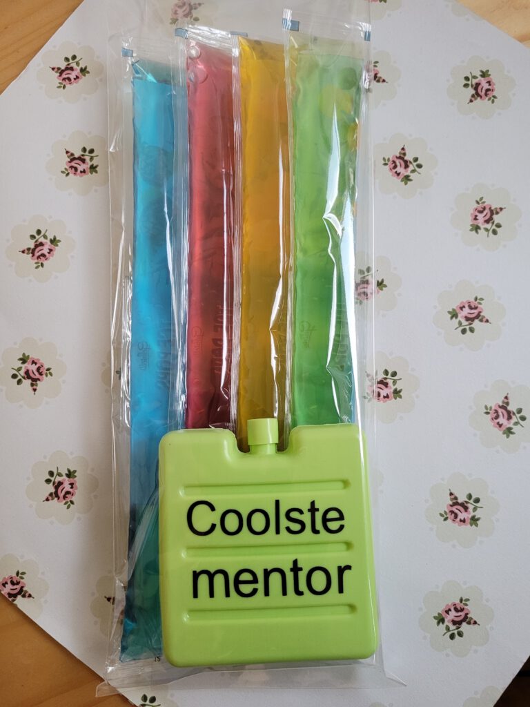 Juf en meester afscheid einde schooljaar